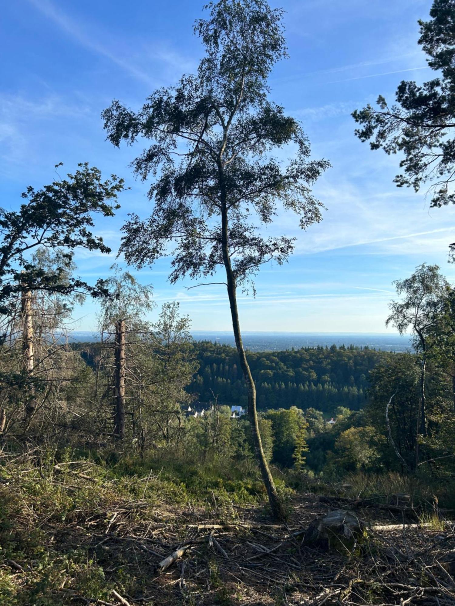 Auszeit Am Toensberg Teutoburger Wald Apartment
